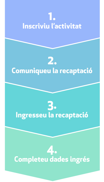 esquema passos a seguir